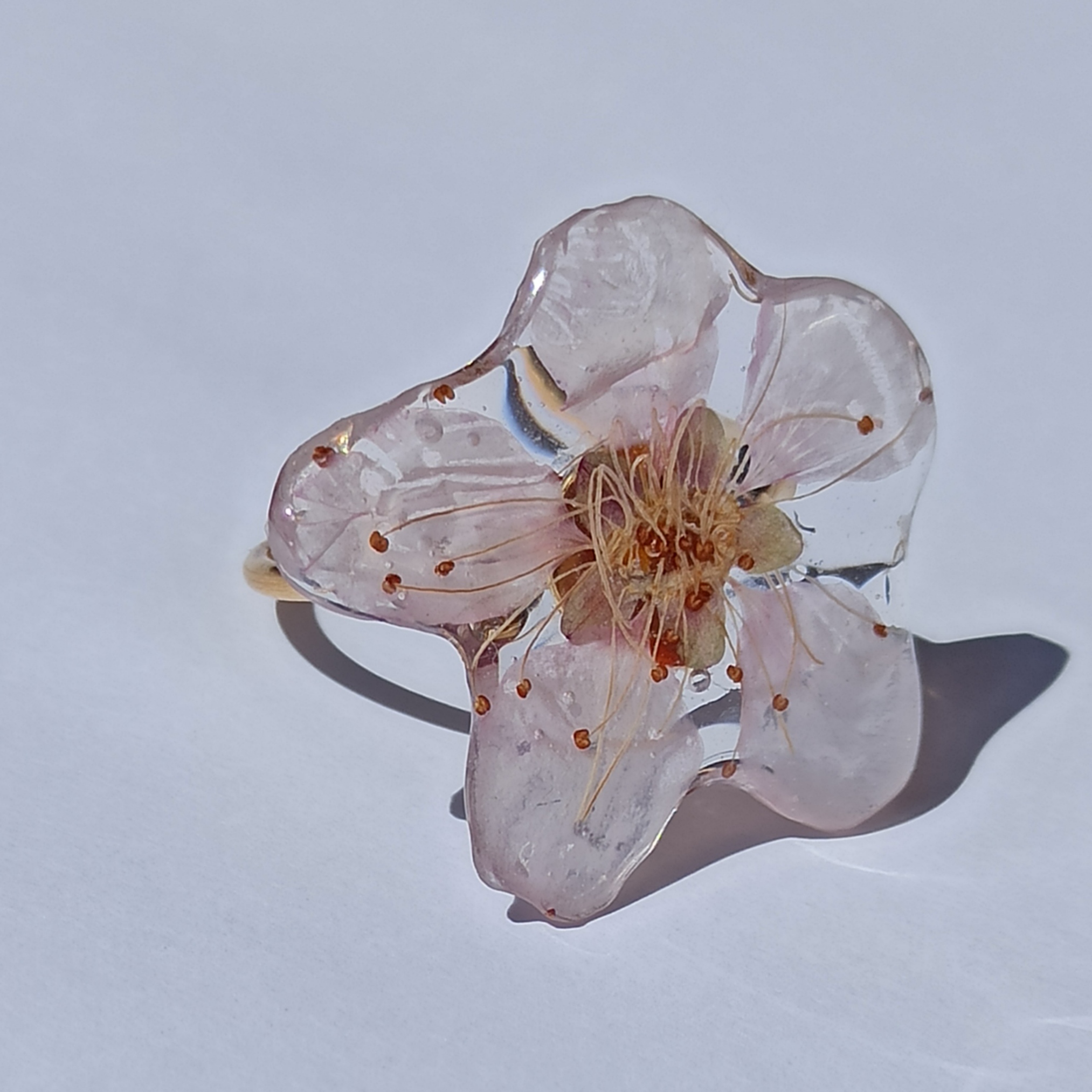 Anillo flor de cerezo dorado 🌸