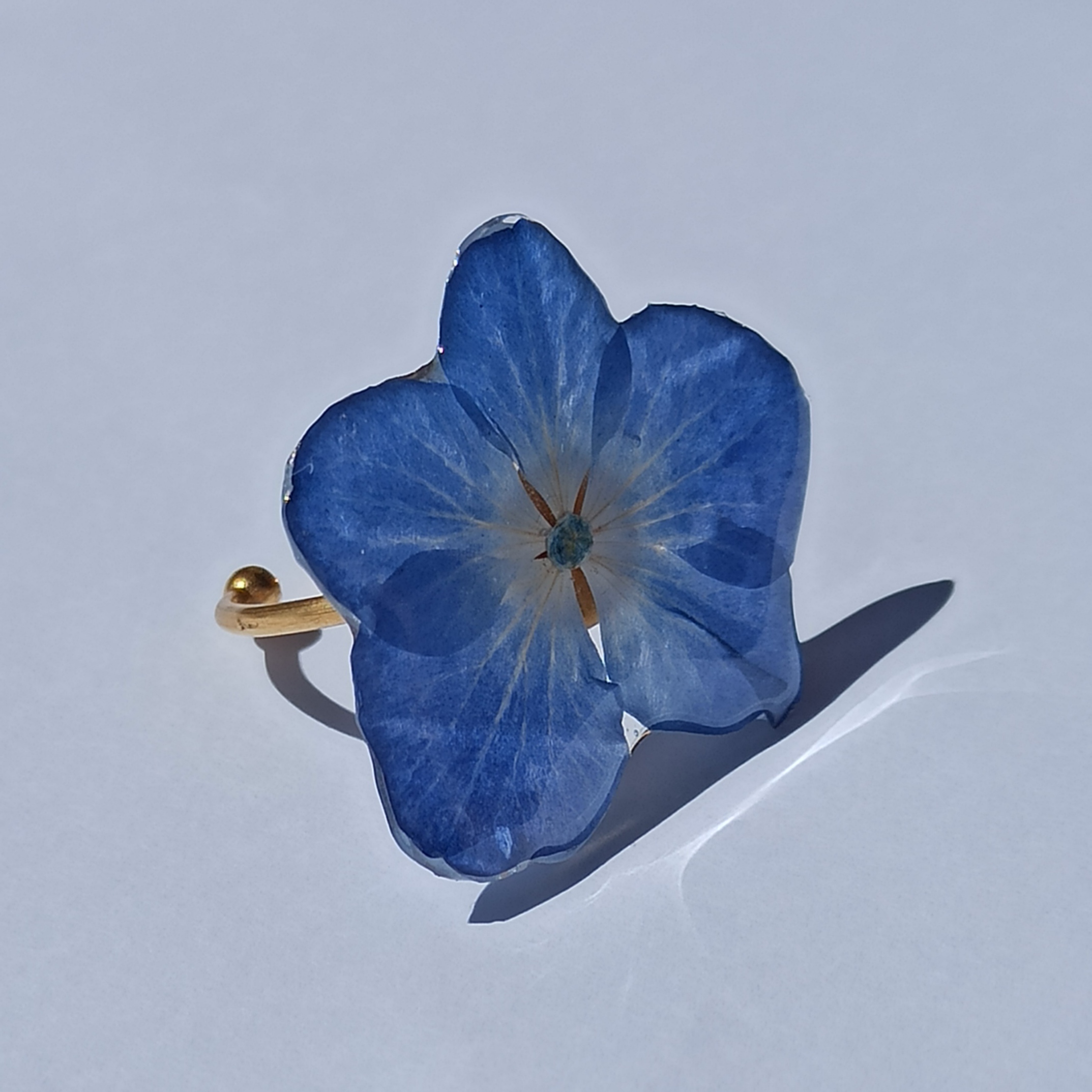 Anillos hortensia 💐