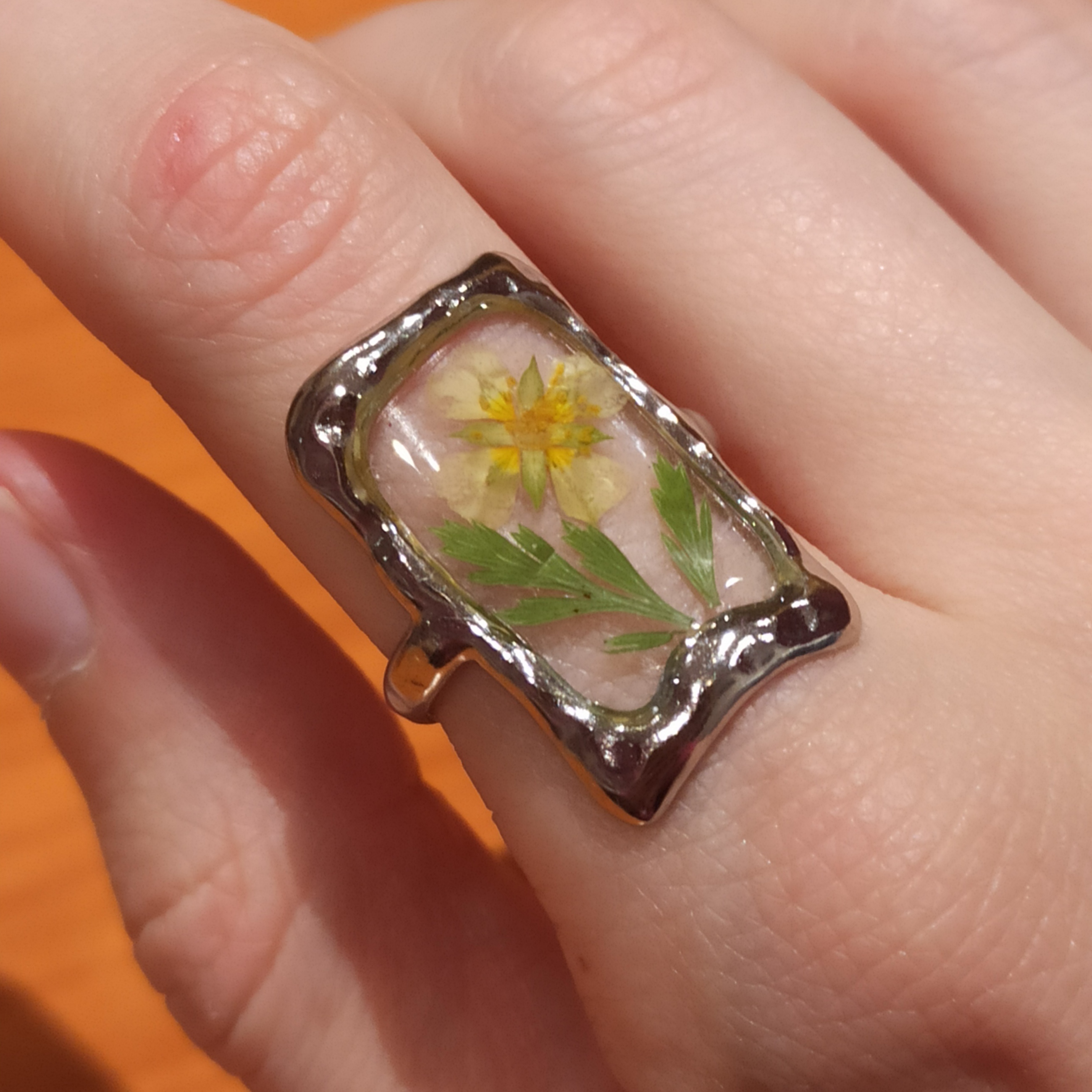 Anillos Monet 🖼️