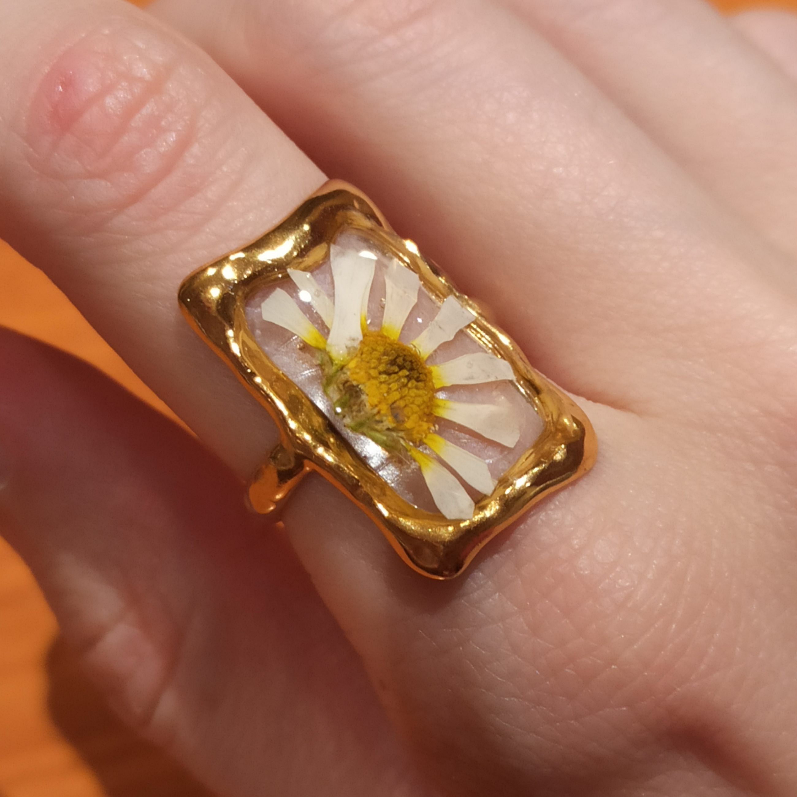 Anillos Monet 🖼️