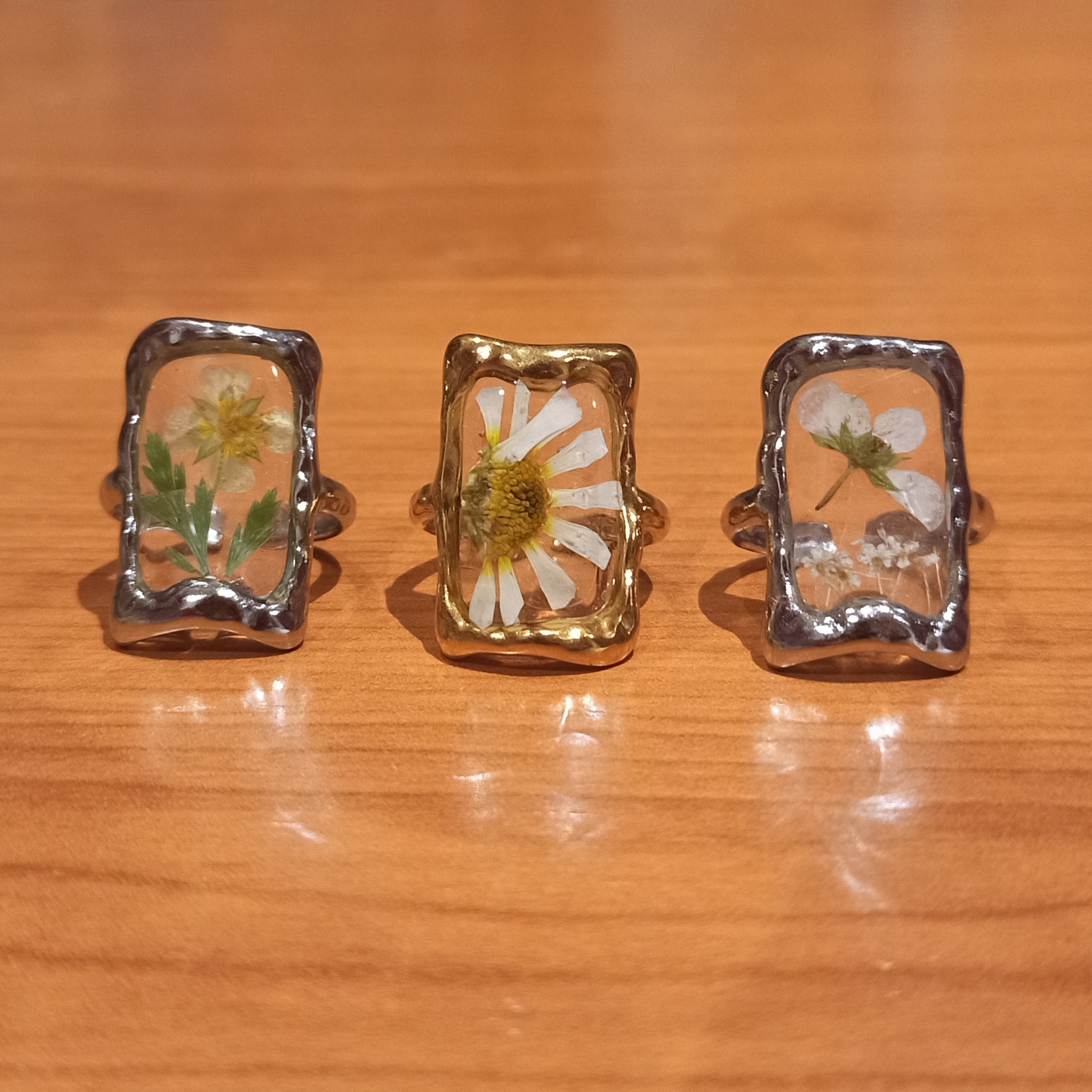 Anillos Monet 🖼️