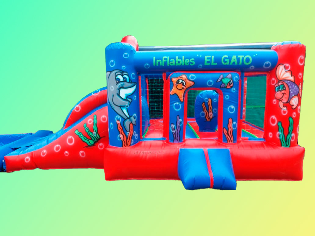 Castillo inflable 7x3 mts. pileta desmontable
