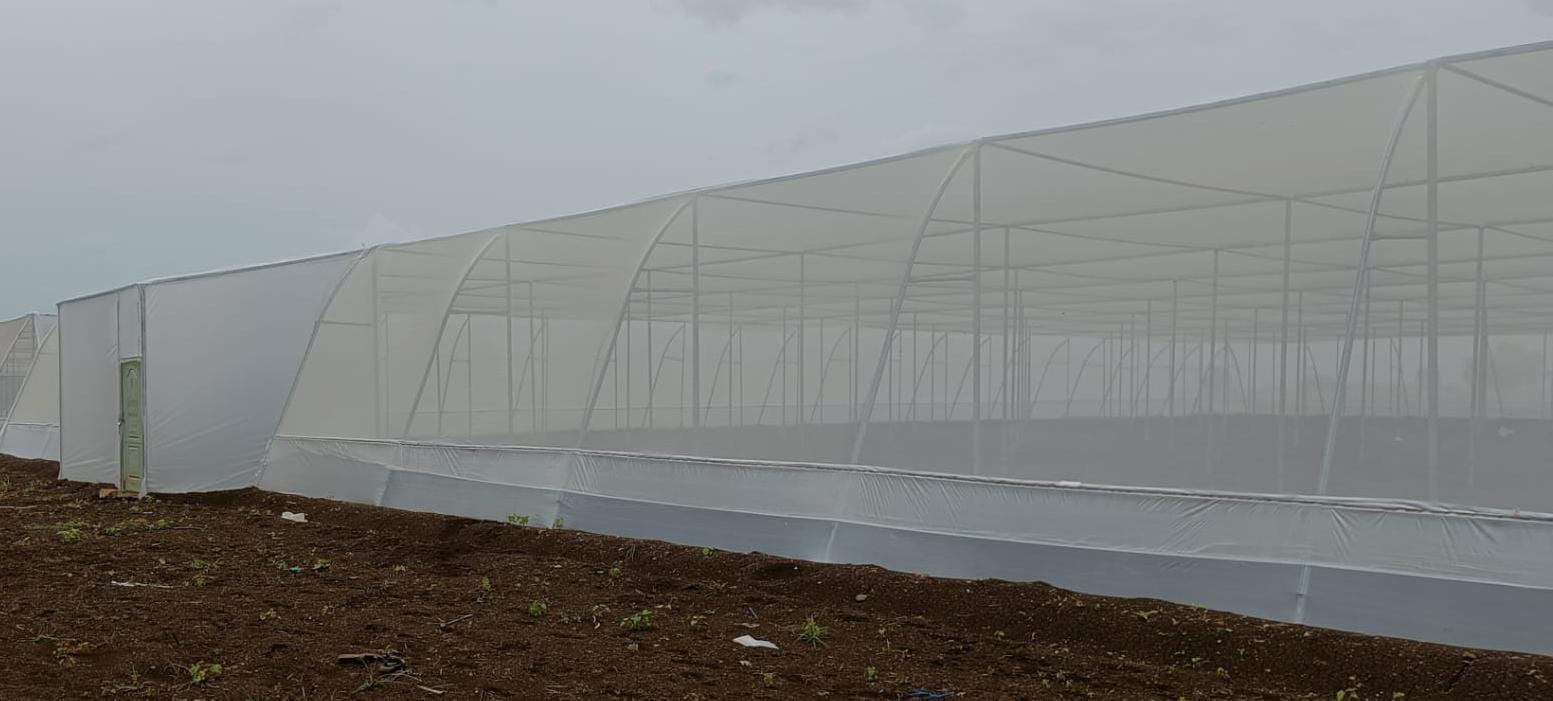 Nethouse - Flat Type