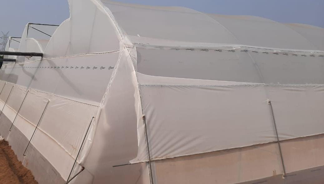 Naturally Ventilated Polyhouse