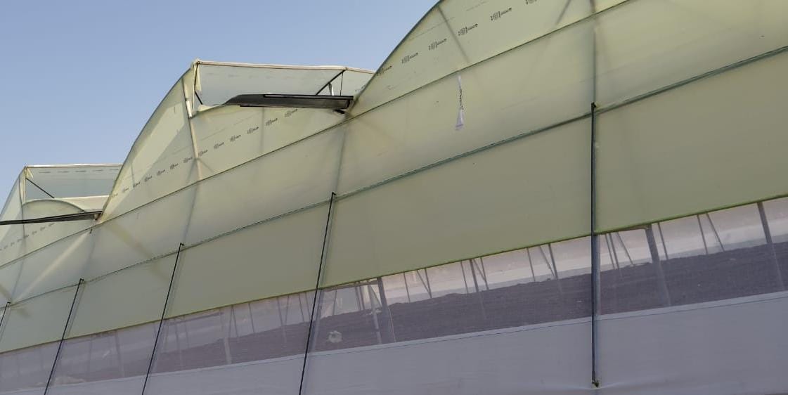 Naturally Ventilated Polyhouse