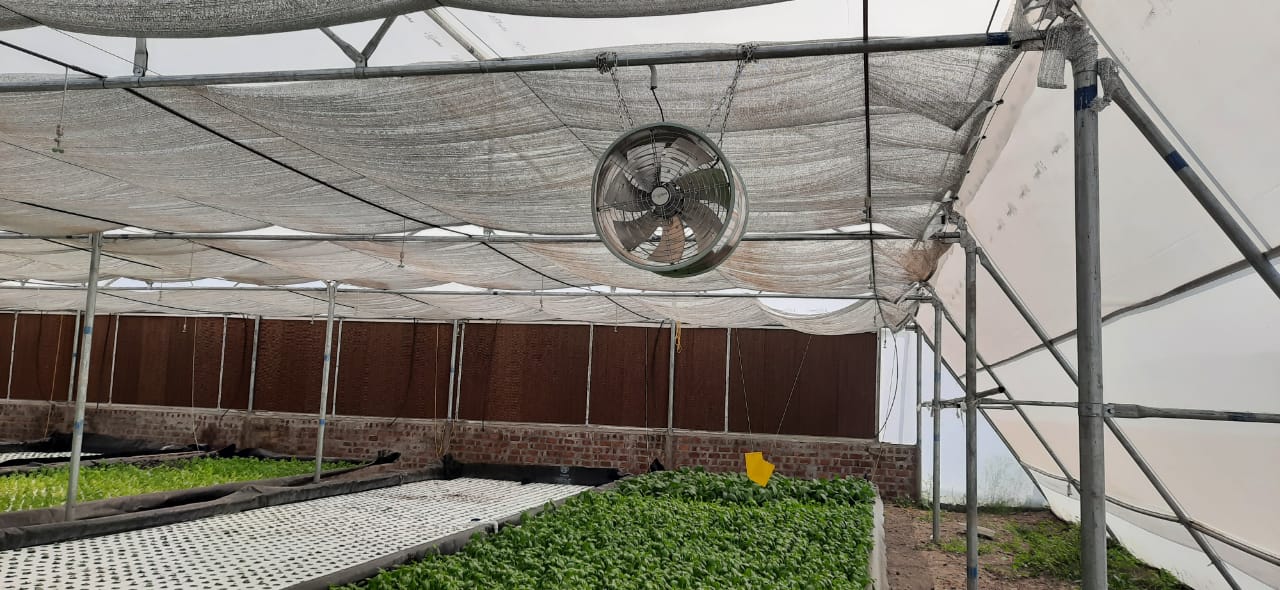 Climate controlled Polyhouse