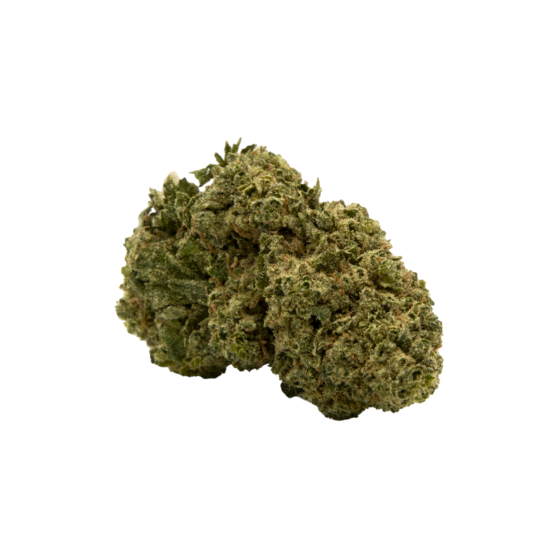 Infusion Fleurs CBD - Bubble Gum 20% 10-OH-HHC - 1gr