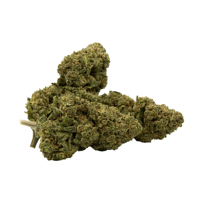 Infusion Fleurs CBD - Bubble Gum 20% 10-OH-HHC - 1gr