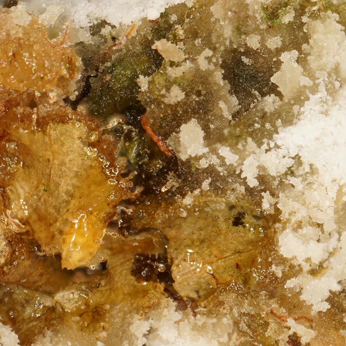 Infusion CBD - Ice Rock CBD - 1gr