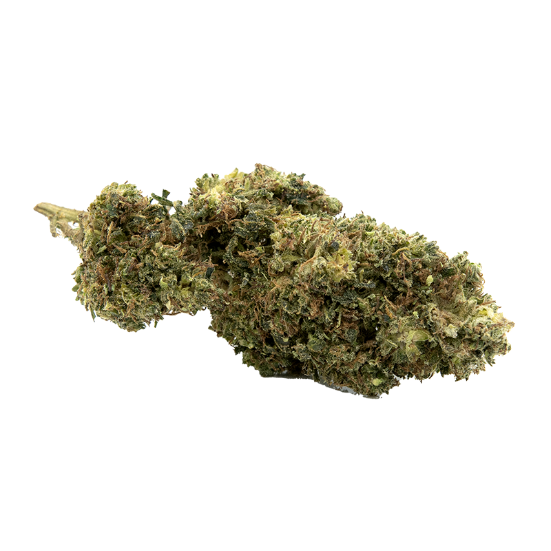 Amnesia Cryo HCT, Infusion Fleurs CBD