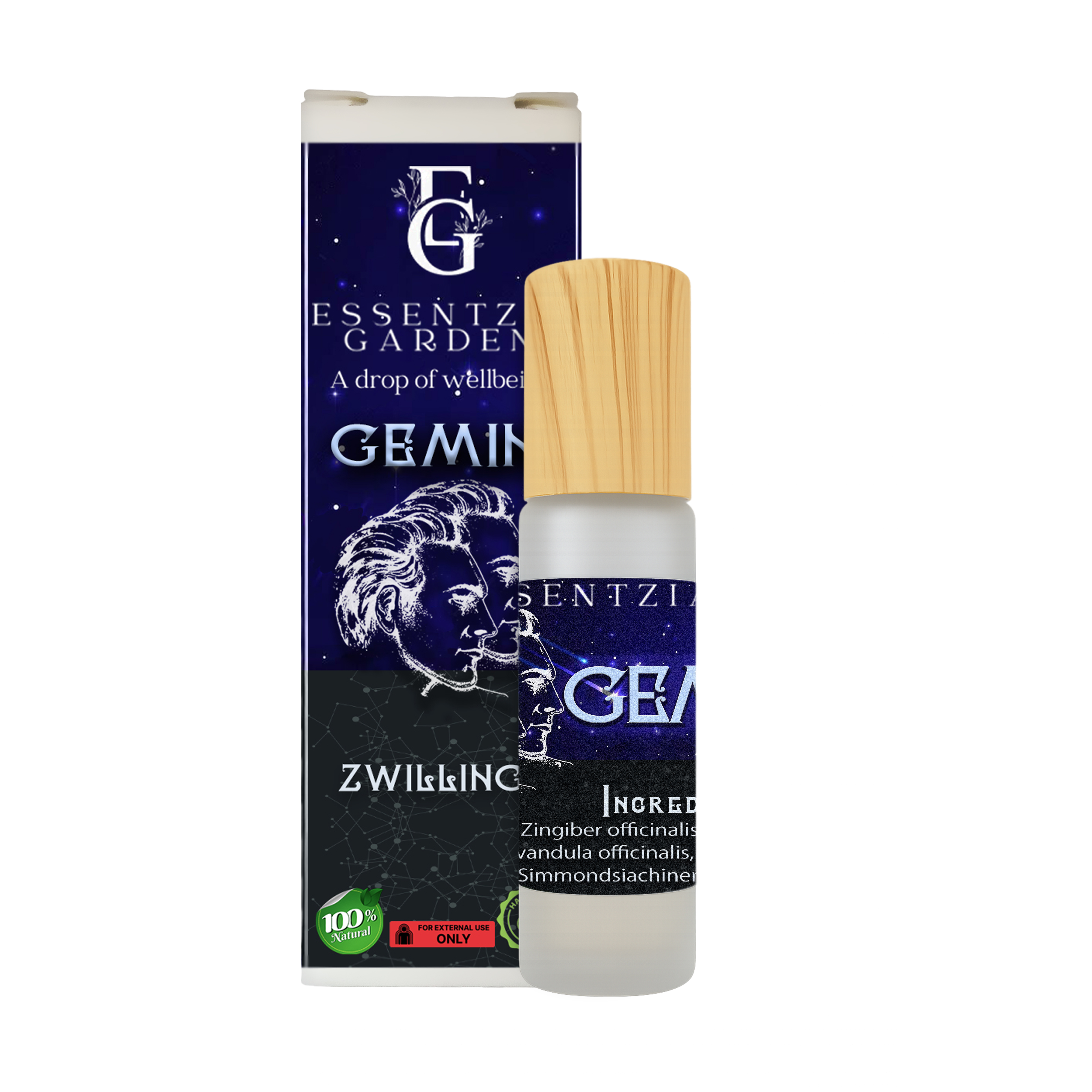 Gemini