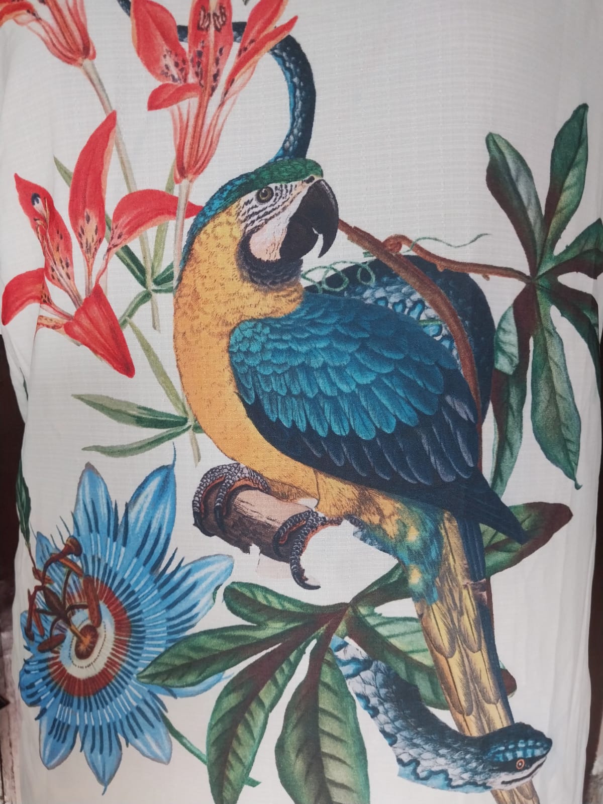Floral Parrot Print Coord Set 