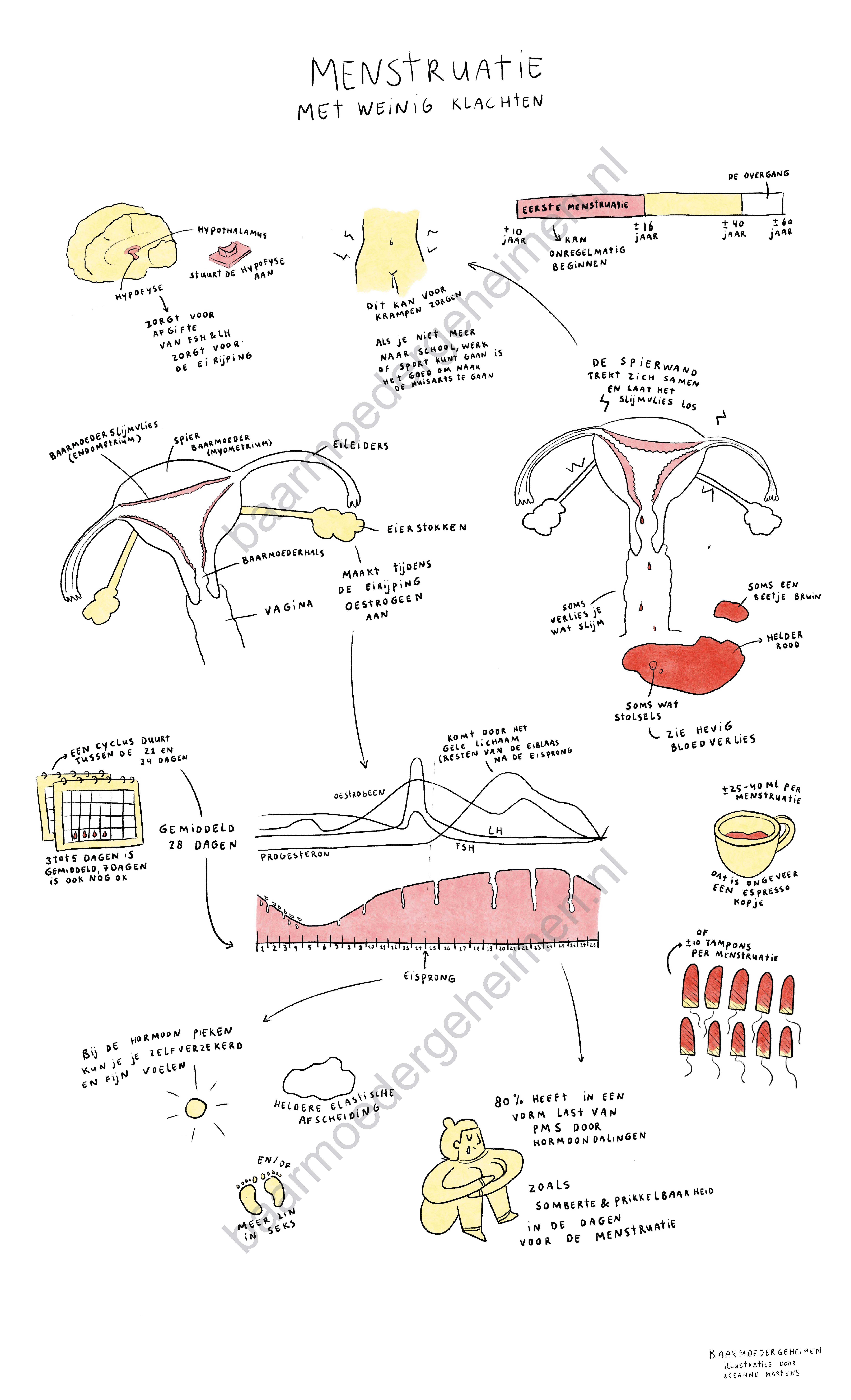 Menstruatie met weinig klachten 