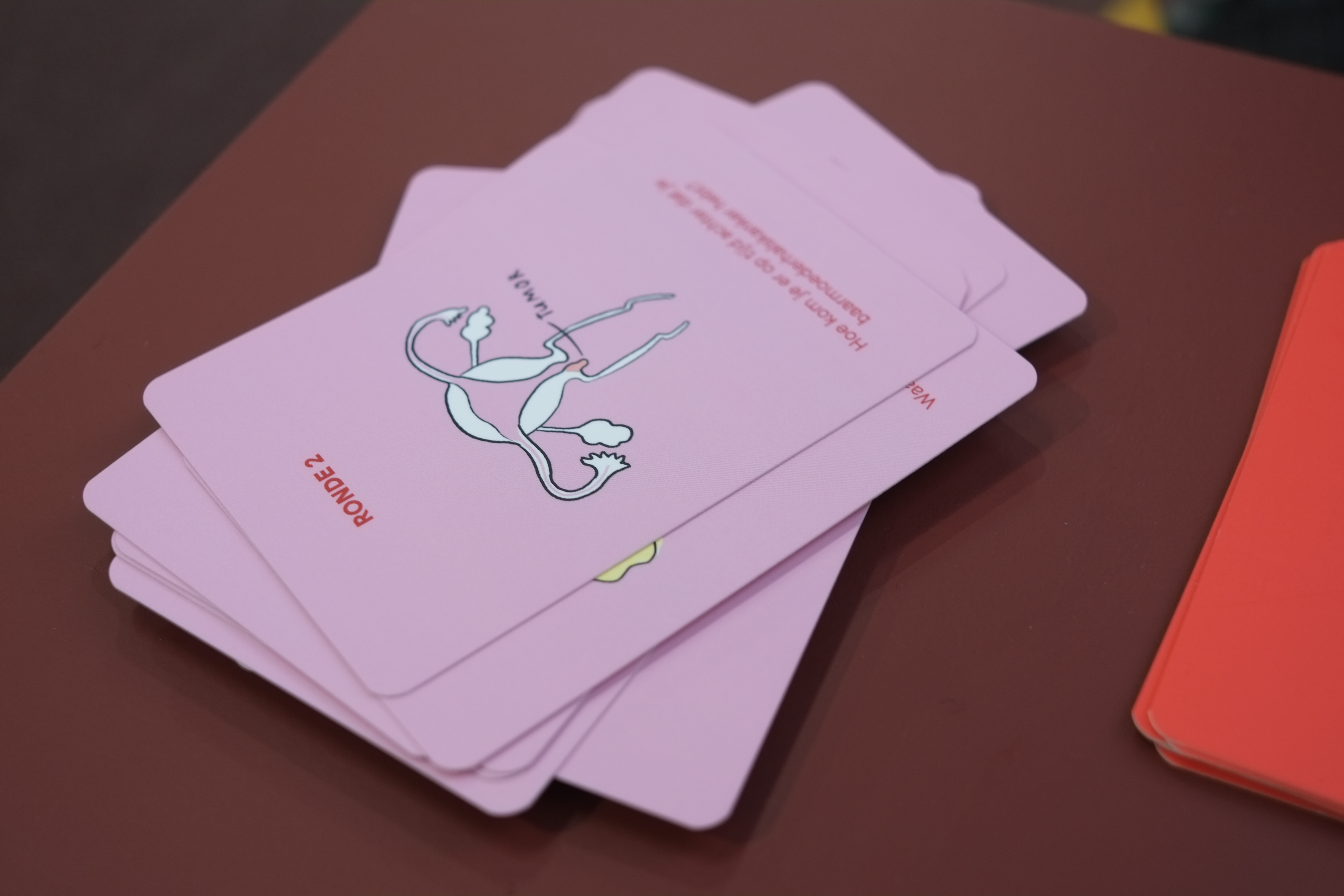 Praatkaarten Baarmoedergeheimen 