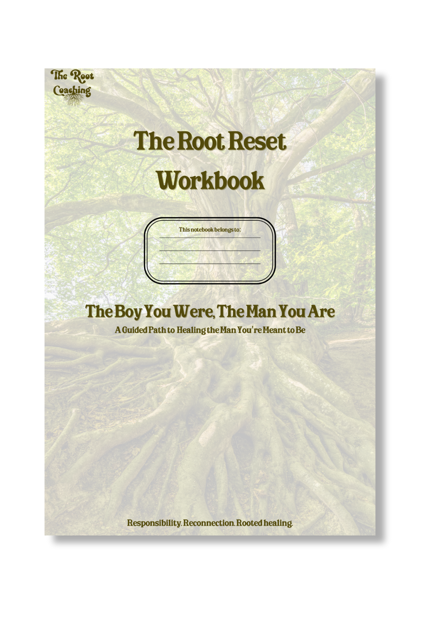 Healing the Man You're Meant to Be - Scripture Edition