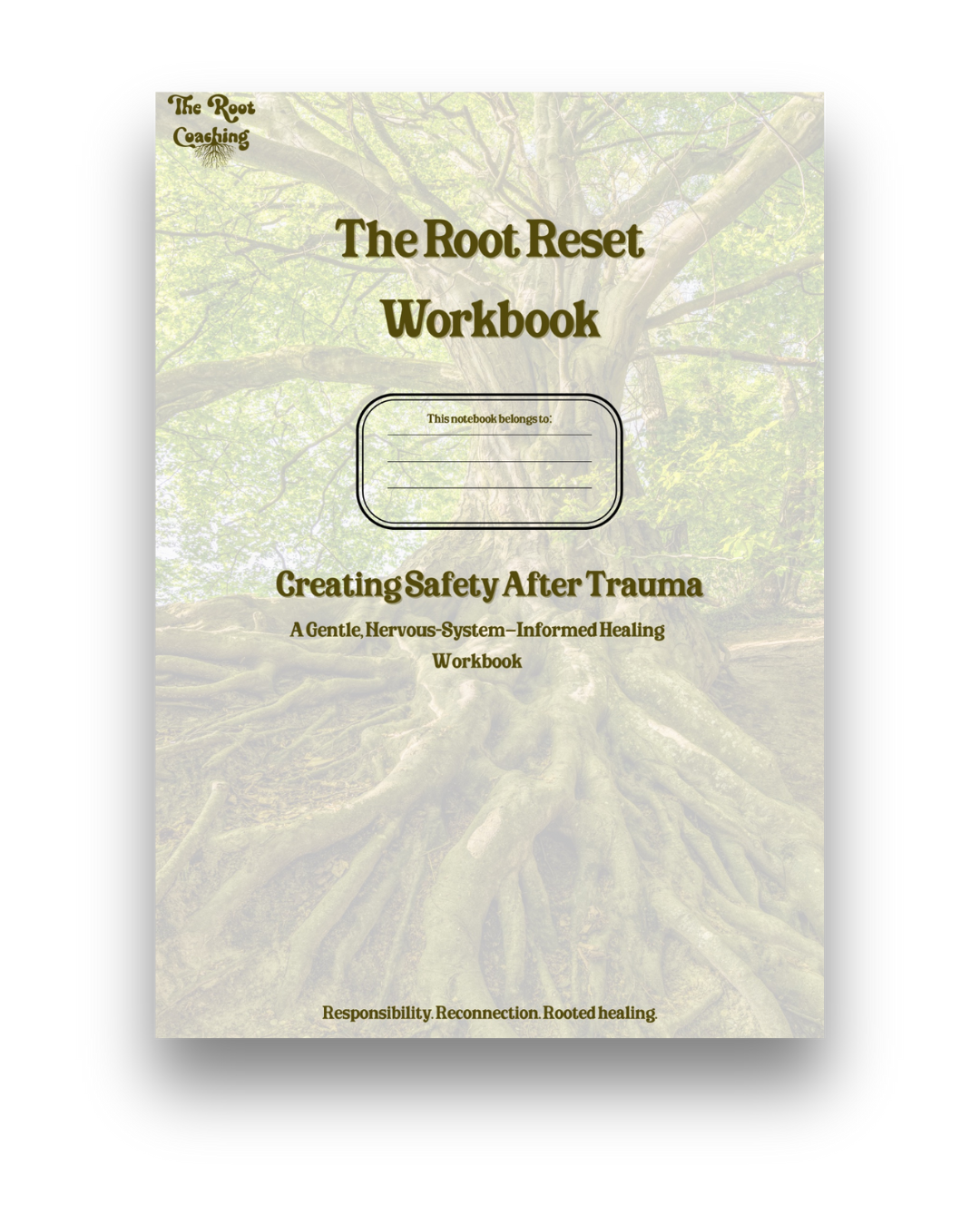 Creating Safety After Trauma - Scripture Edition