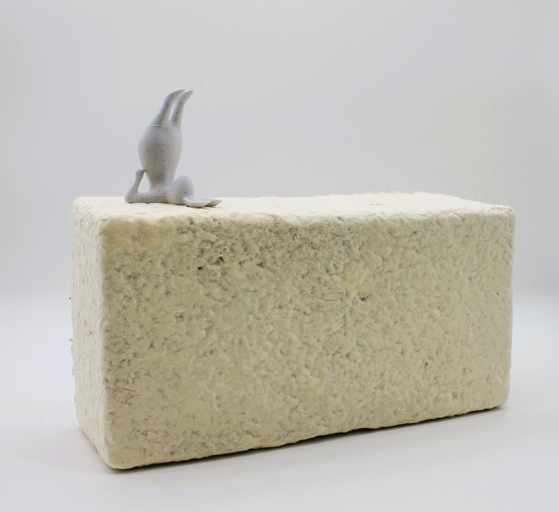 Mycelium Yoga Brick