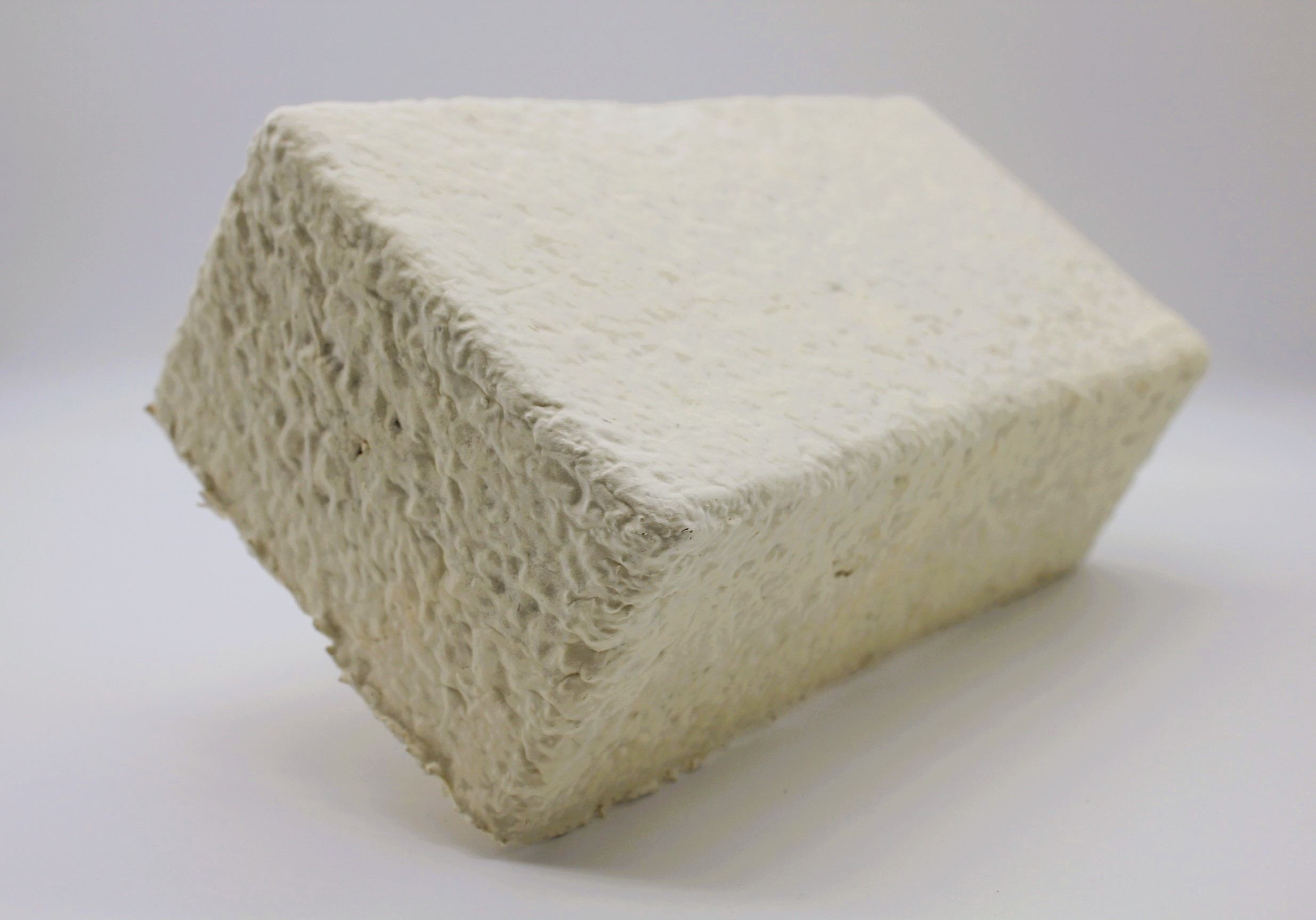 Mycelium Yoga Brick 