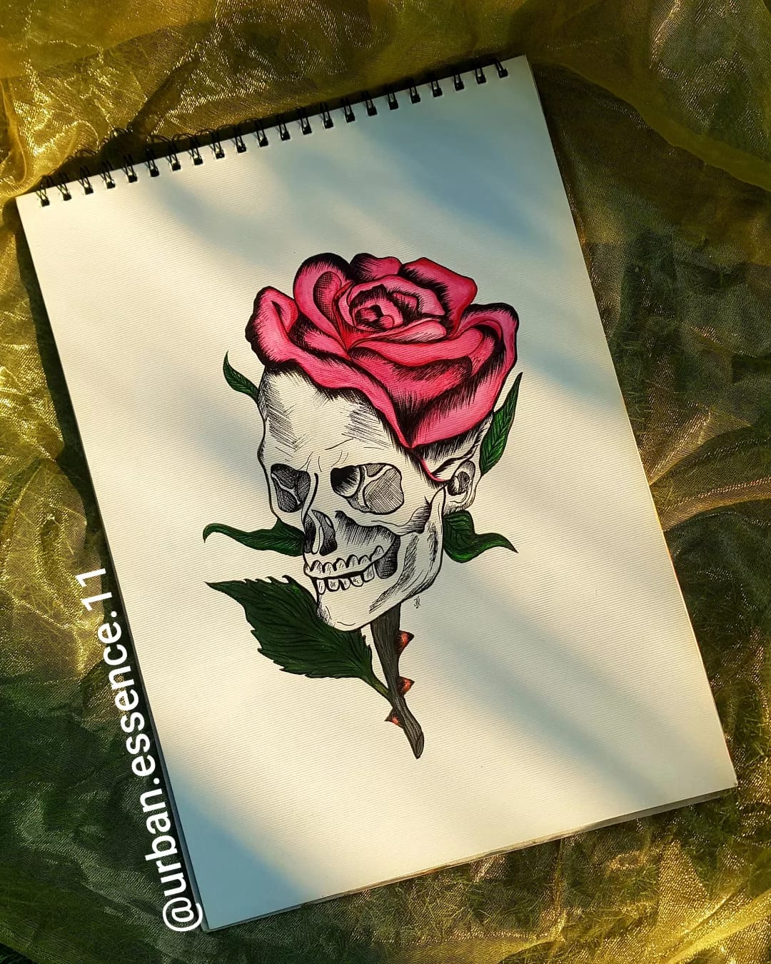 Skull and Rose Artwork