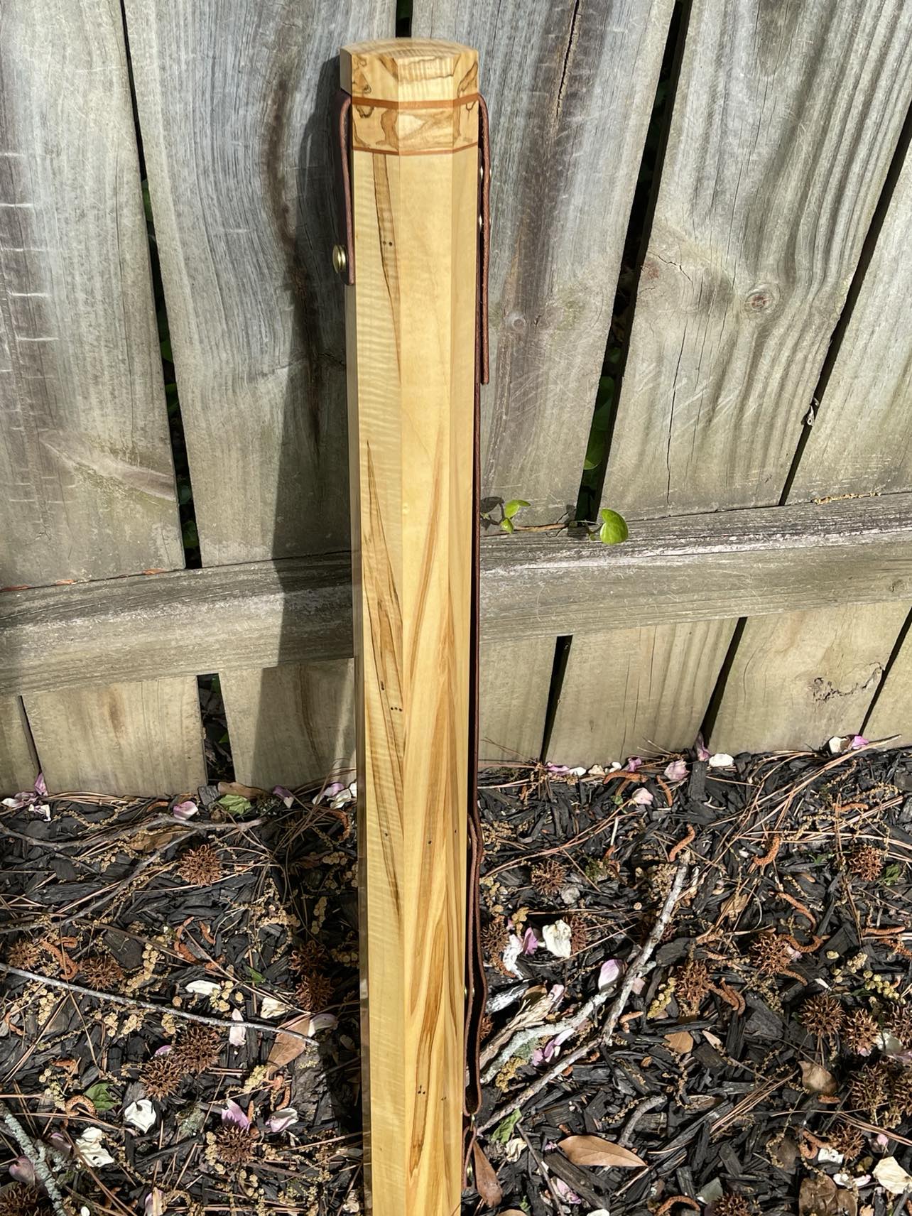 Maple (Ambrosia)