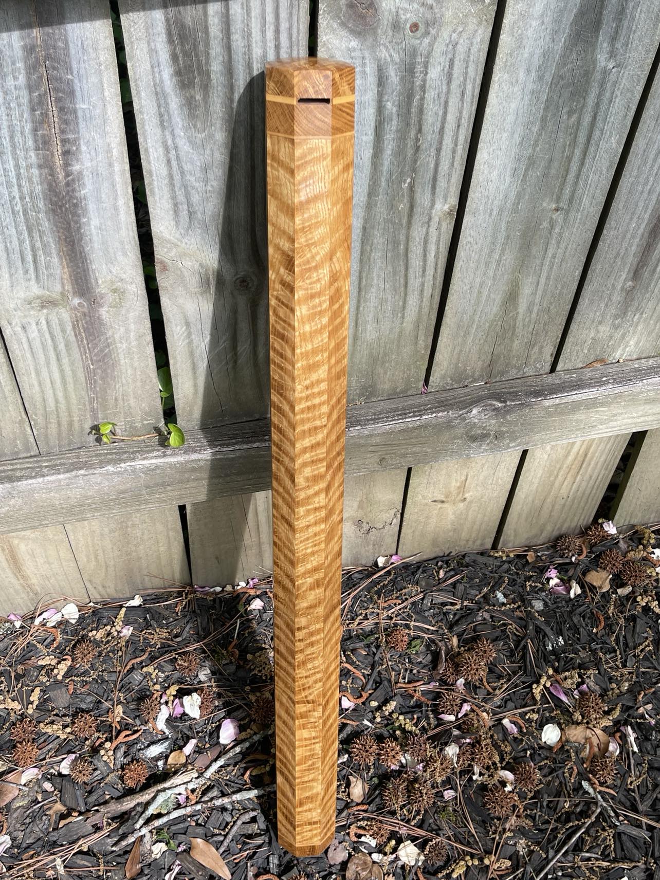 Oak (Curly)
