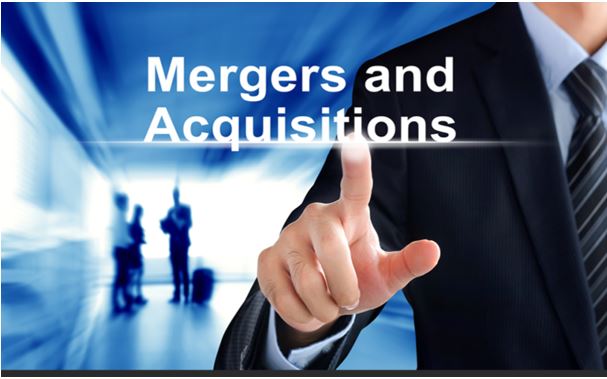 Business Merger & Acquisition