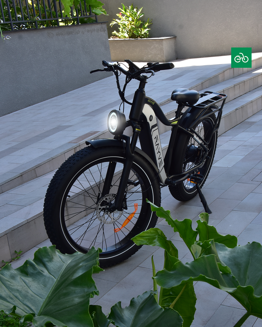 Rayve M-206 |⚡750W a 1000W