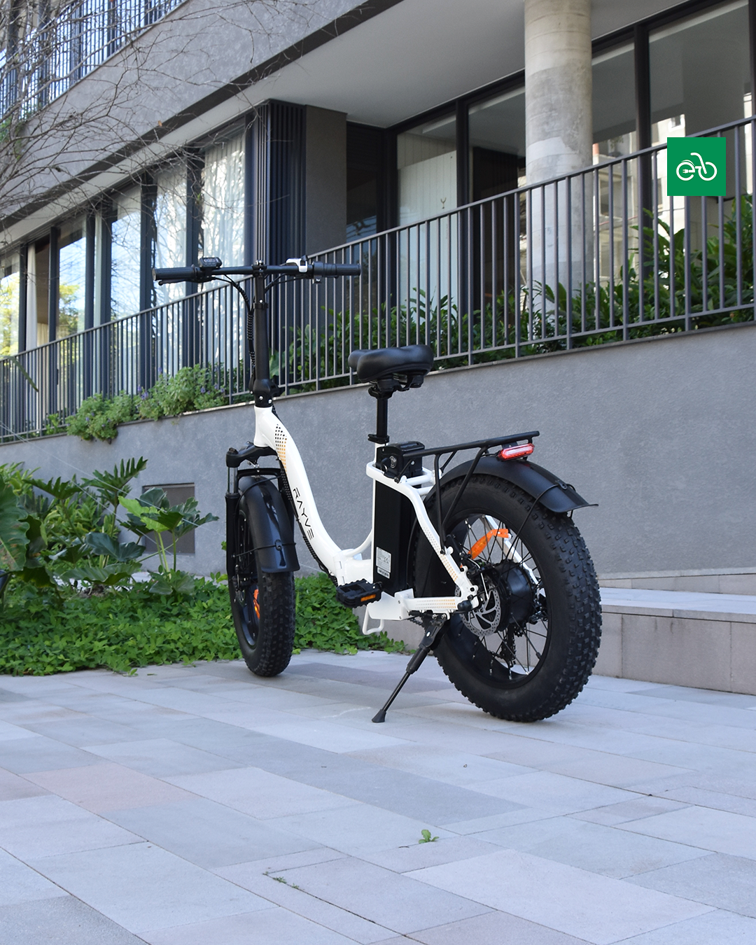 Rayve ZX201 |⚡350W a 500W