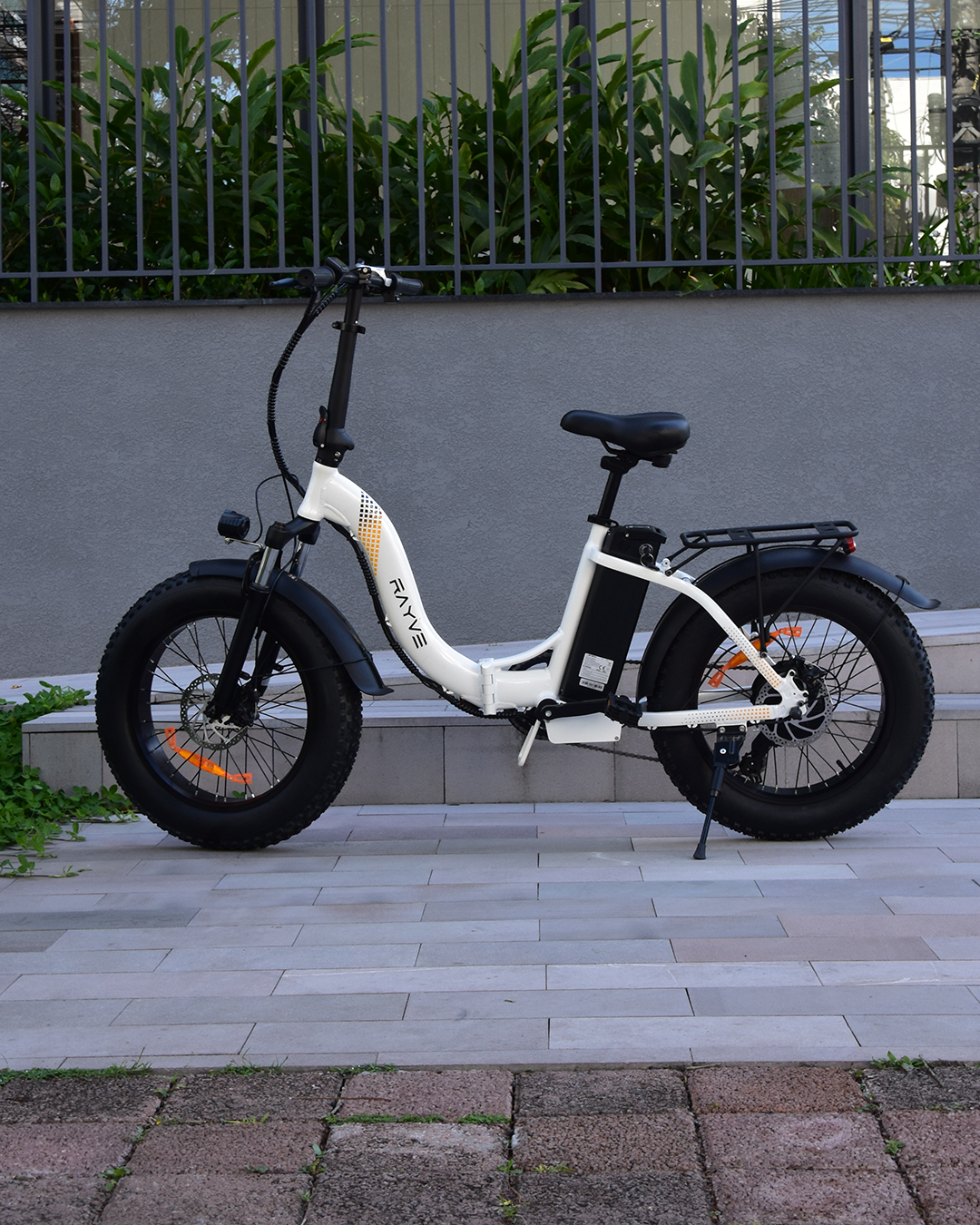 Rayve ZX201 |⚡350W a 500W