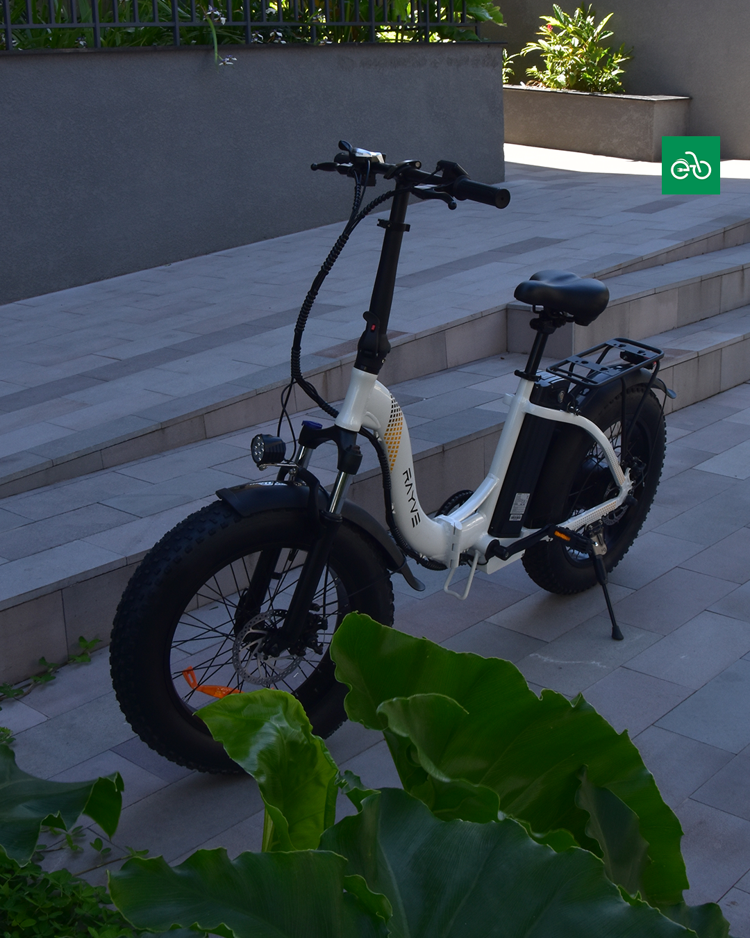 Rayve ZX201 |⚡350W a 500W