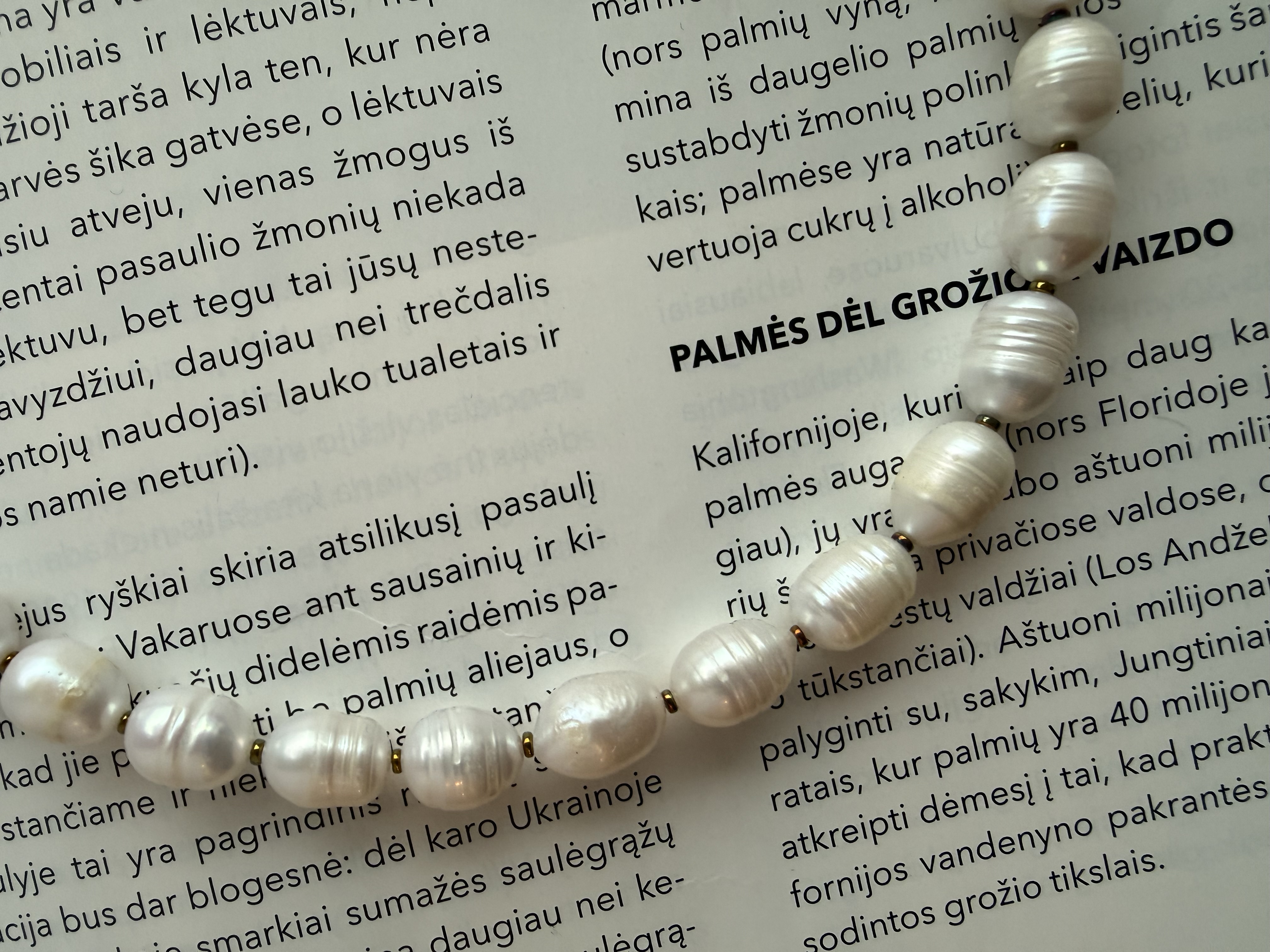 Baltų, masyvių gėlavandenių perlų vėrinys