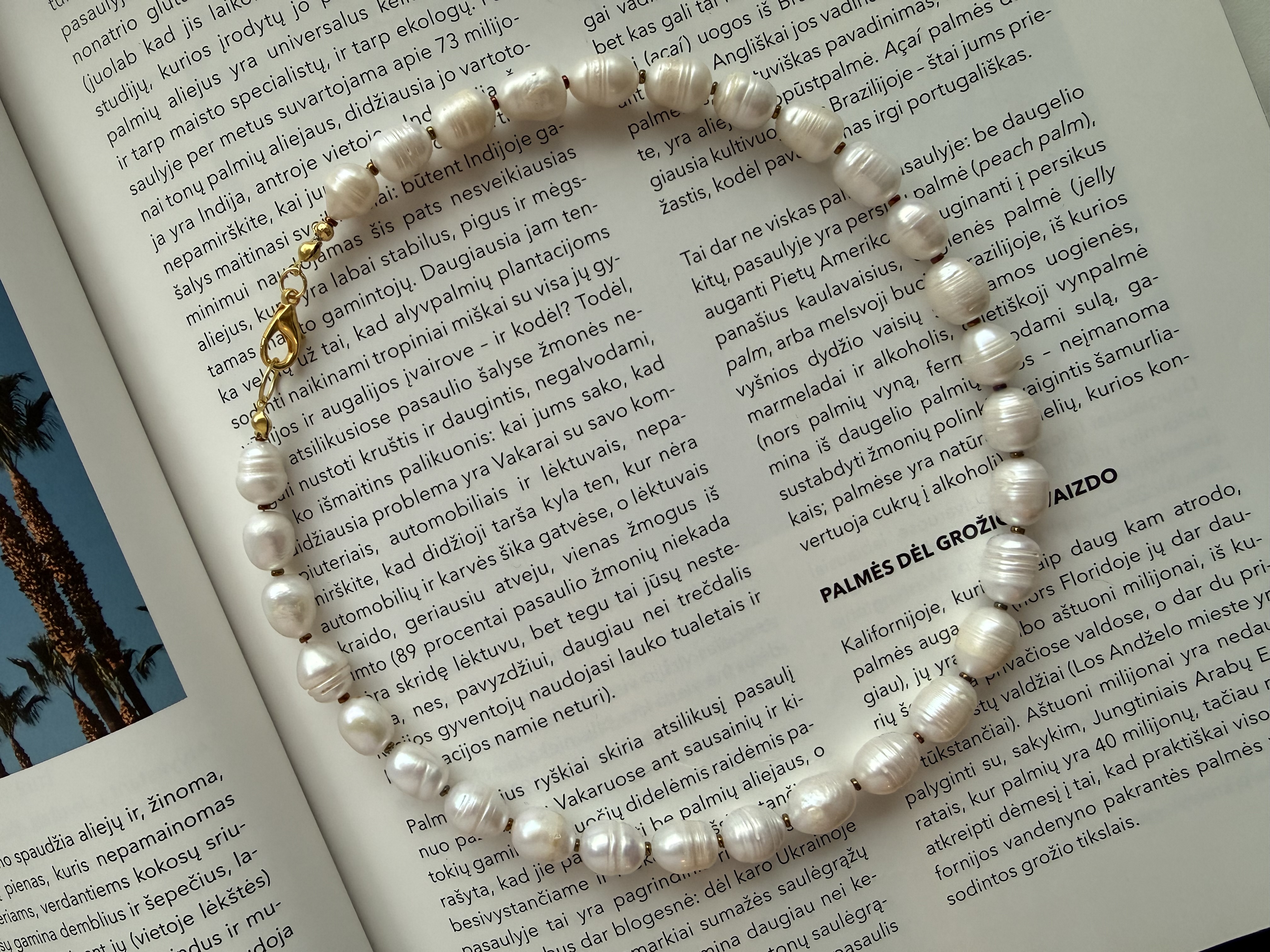 Baltų, masyvių gėlavandenių perlų vėrinys