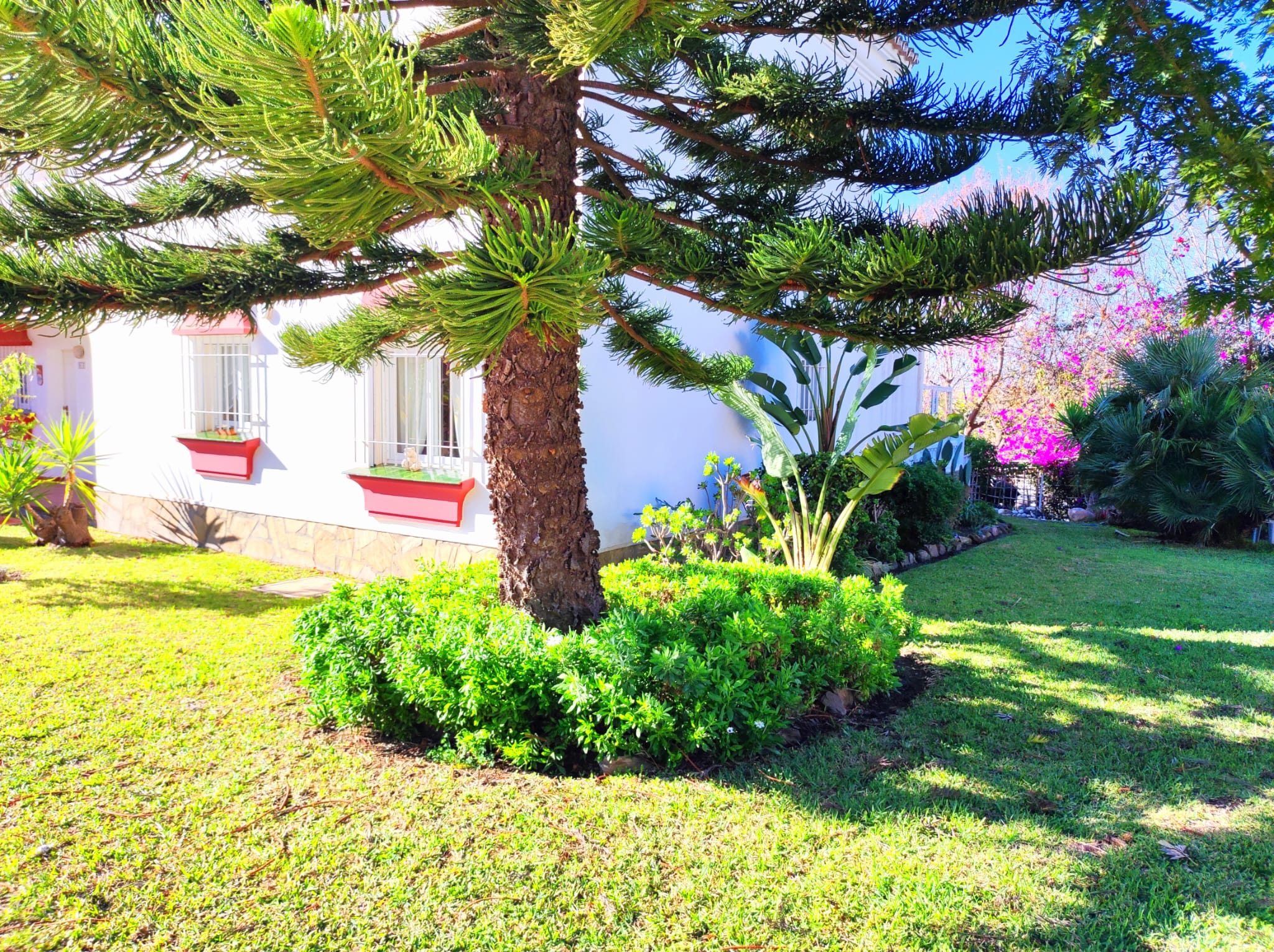 Apartamento luminoso y soleado de 2 dormitorios, Torrox-Park 