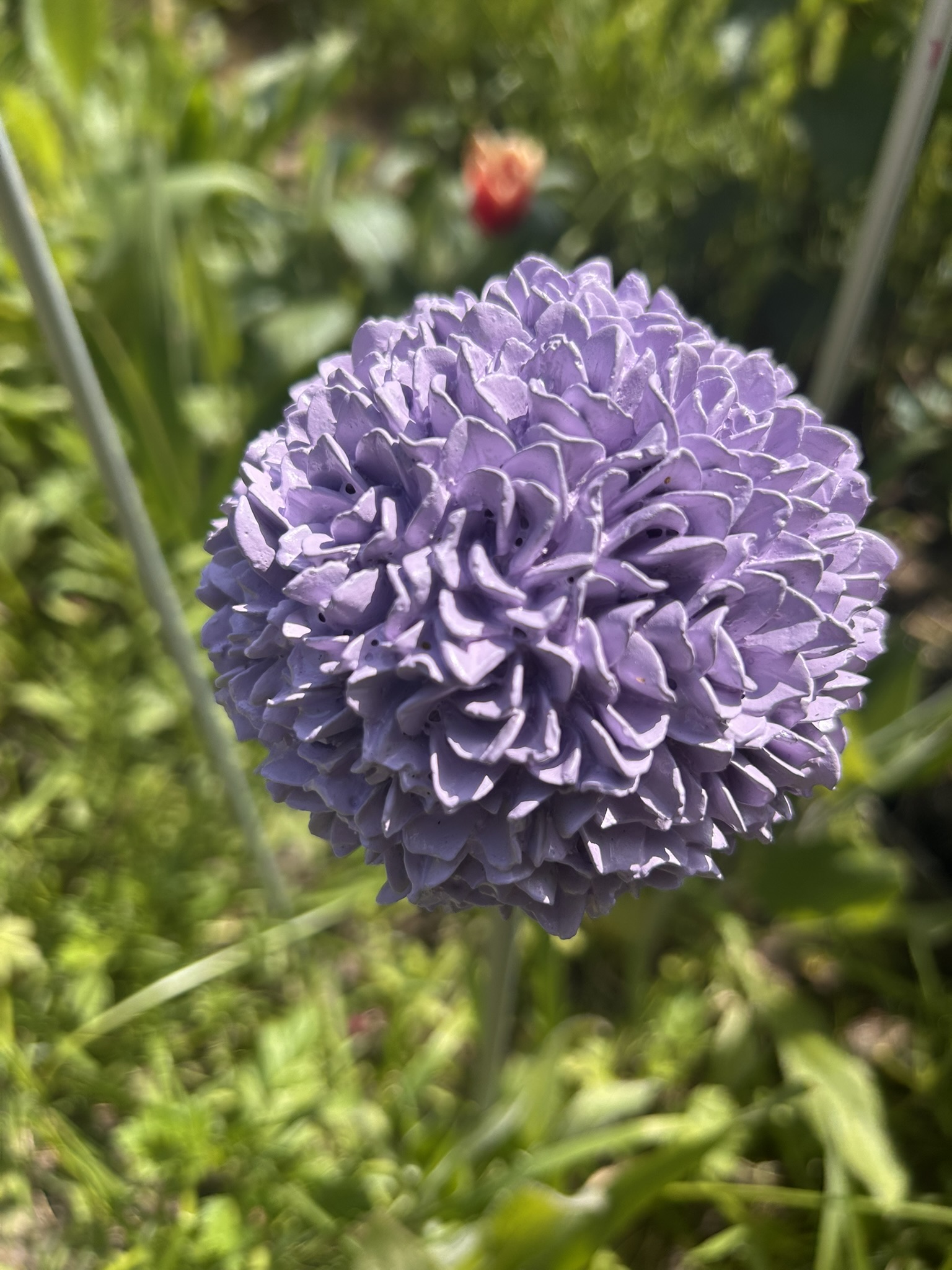 Allium-Blüte aus Beton
