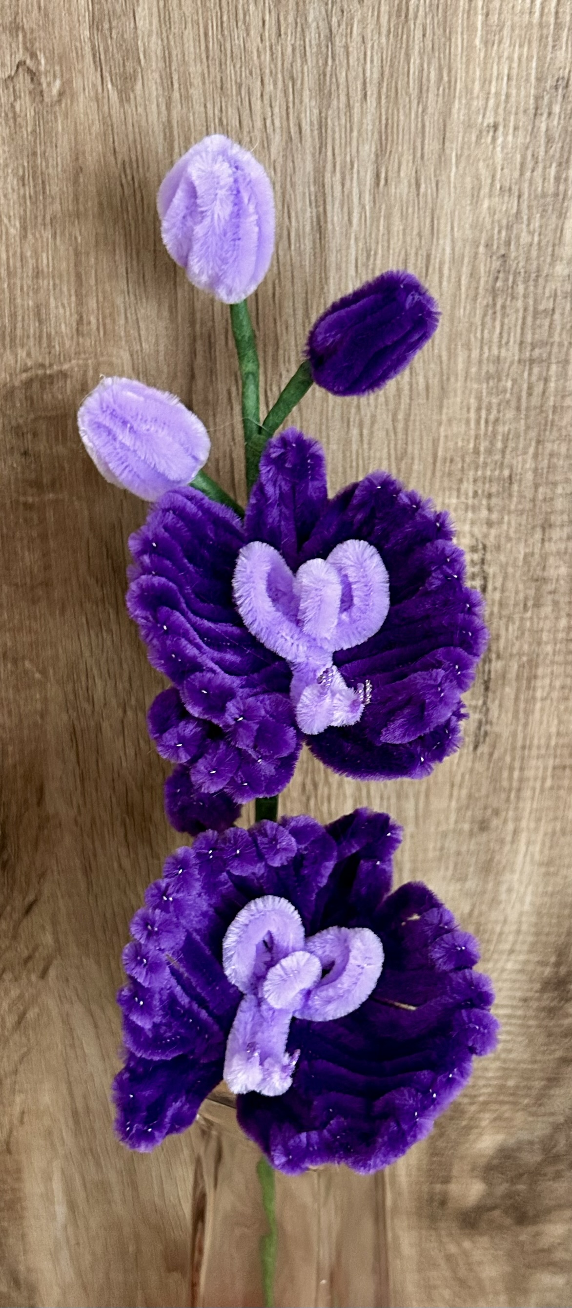 Handgemachte Orchidee aus Chenilledraht