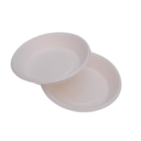 6 Inch Hinged Plate (PACK OF 50)