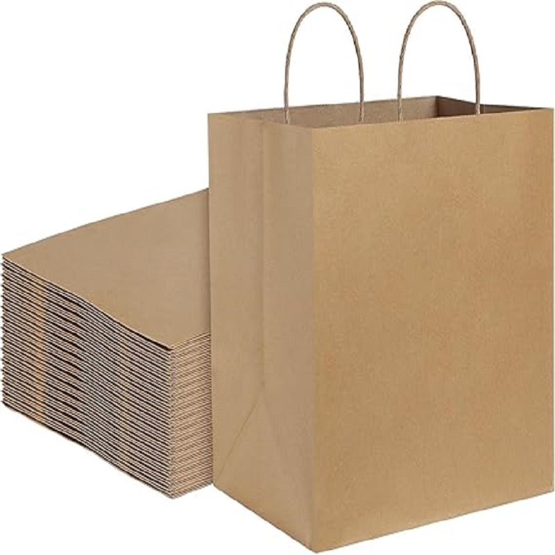 Eco-friendly Paper carry Bag (PACK OF 25)