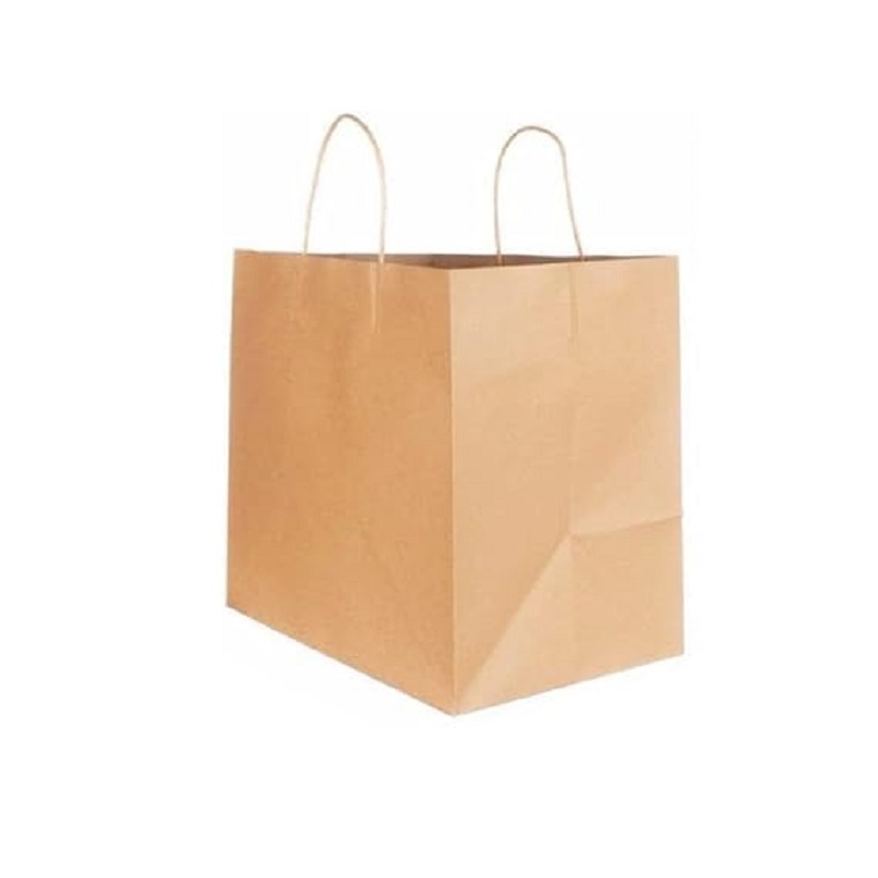 Eco-friendly Paper carry Bag (PACK OF 25)