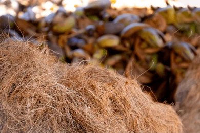 Coconut Husk Fiber
