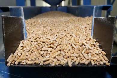 Biomass Pellets