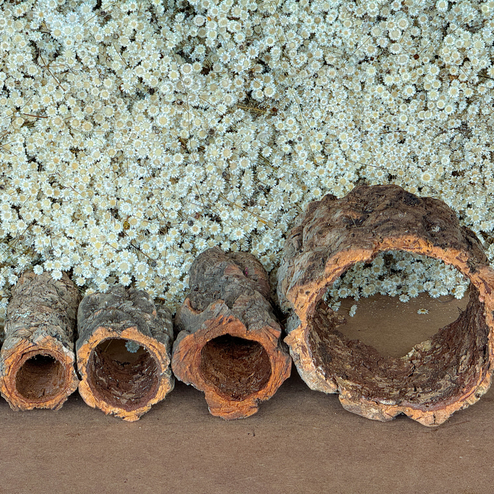 Casca de Cortiça - Toca Oca para Répteis e Orquídeas Cork Bark 