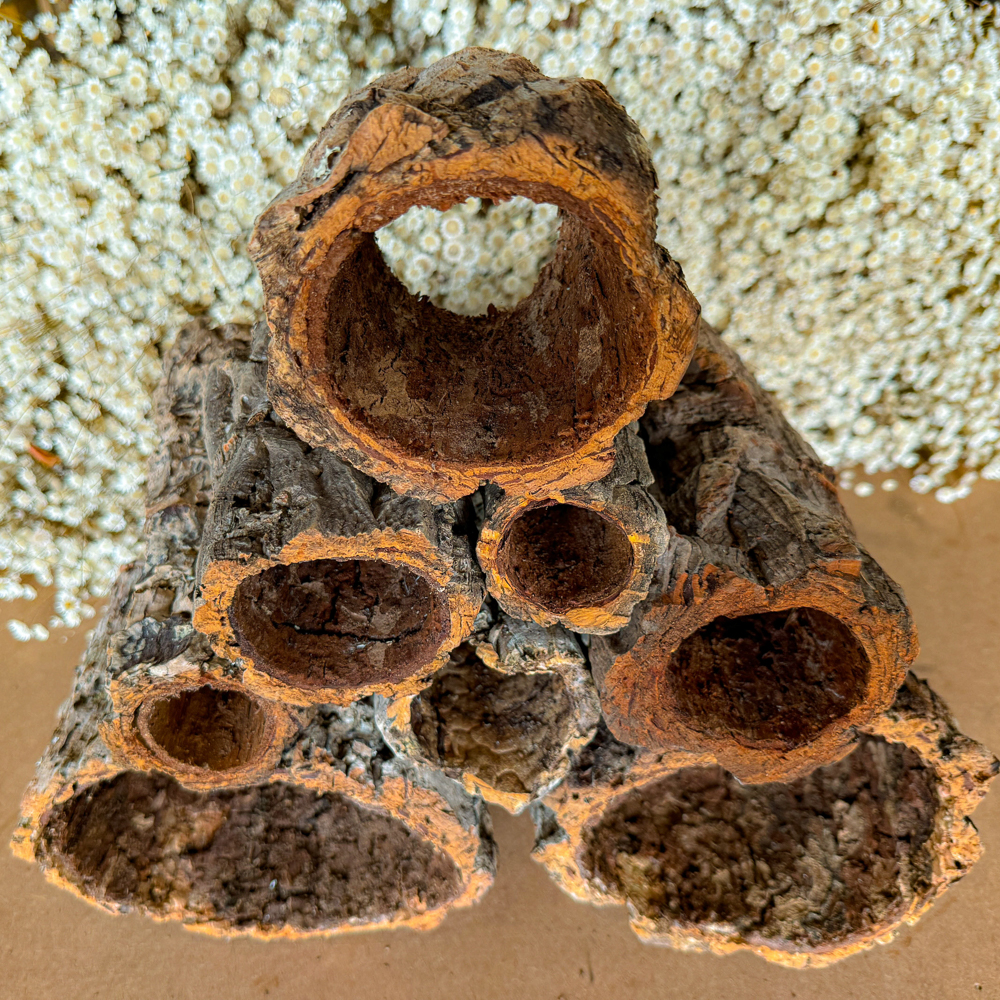 Casca de Cortiça - Toca Oca para Répteis e Orquídeas Cork Bark 