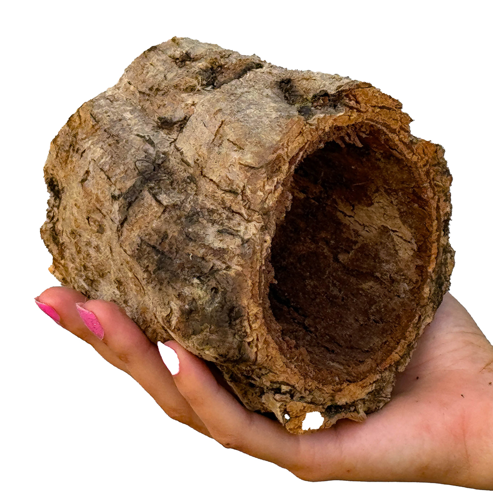Casca de Cortiça - Toca Oca para Répteis e Orquídeas Cork Bark 