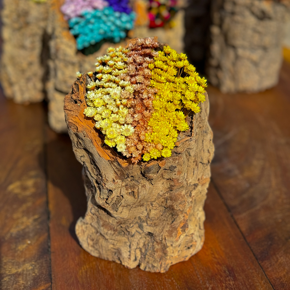 Tronco Decorativo – Centro de Mesa Rústico com Flores Sempre Vivas