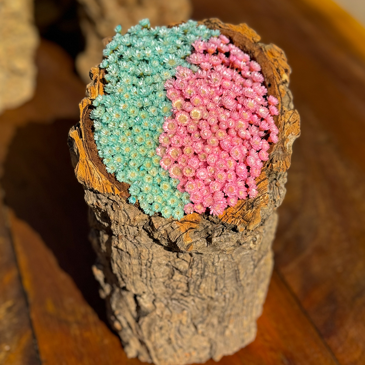 Tronco Decorativo – Centro de Mesa Rústico com Flores Sempre Vivas