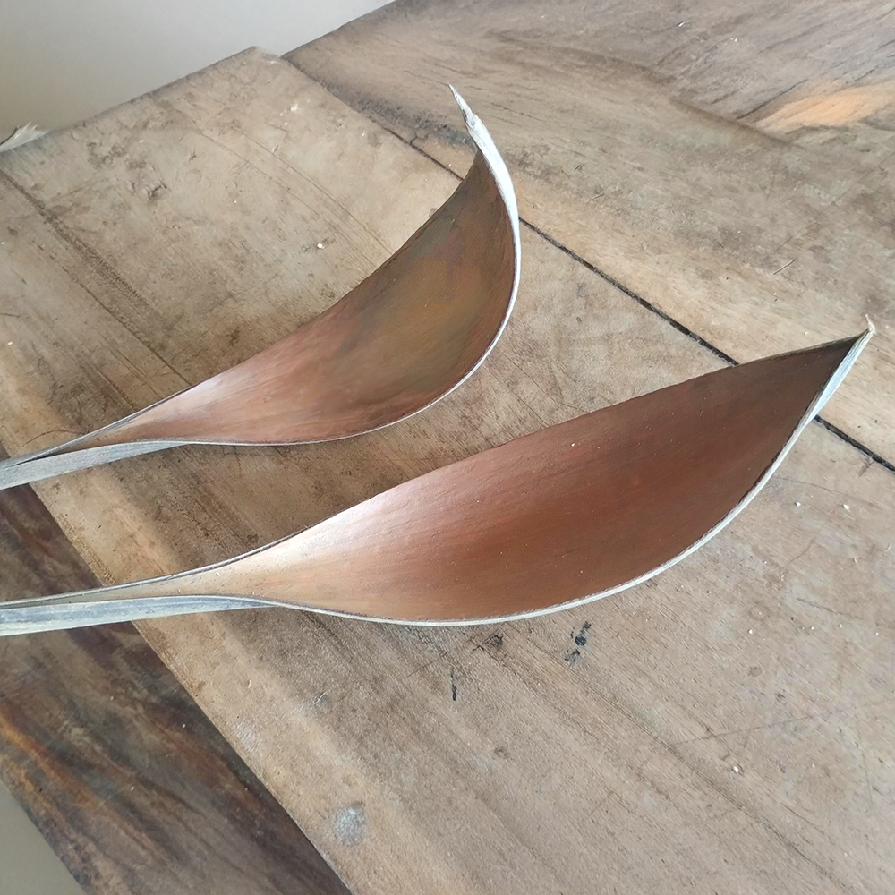 Casca de Coqueiro - Capa de Coco