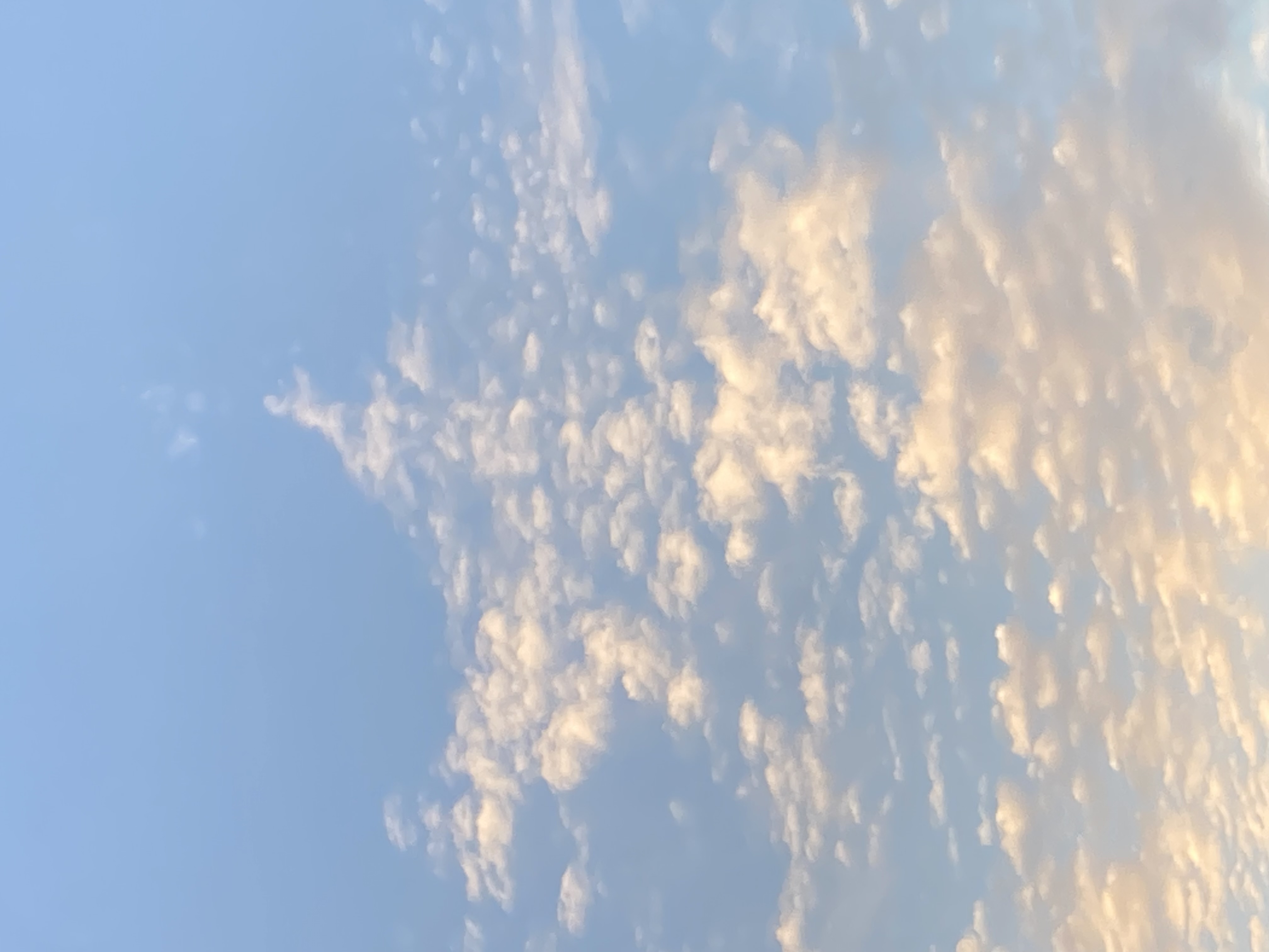 Harmonisation de votre lieux de vie