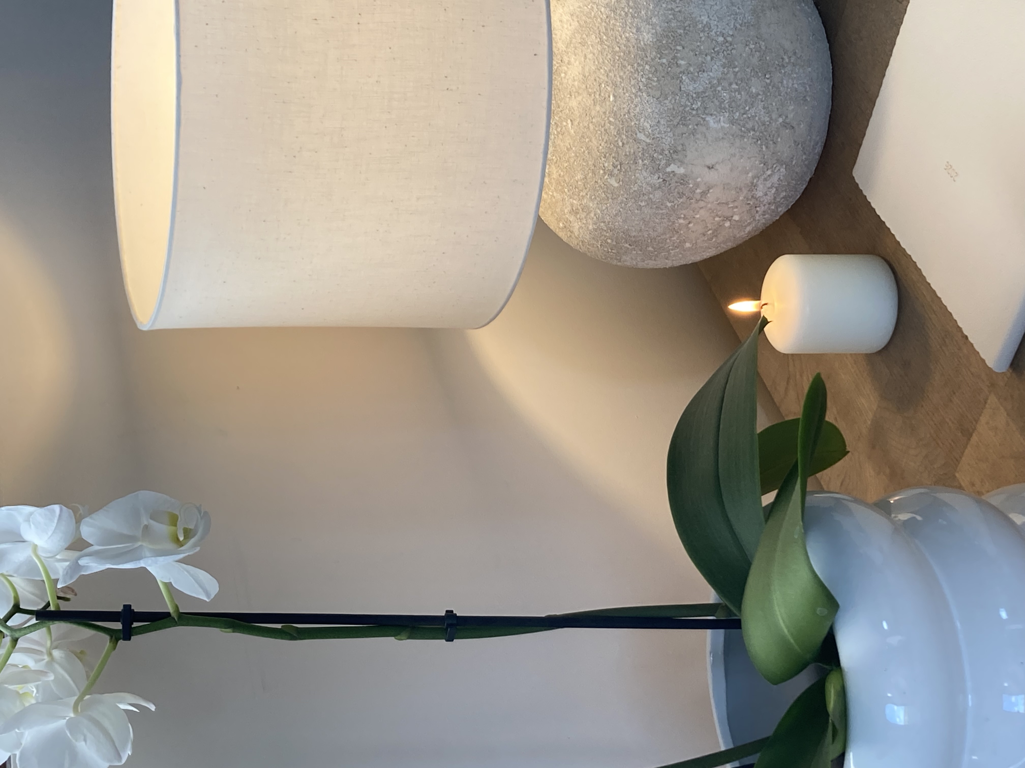 Séance magnétisme enfant (jusqu’à 12 ans)