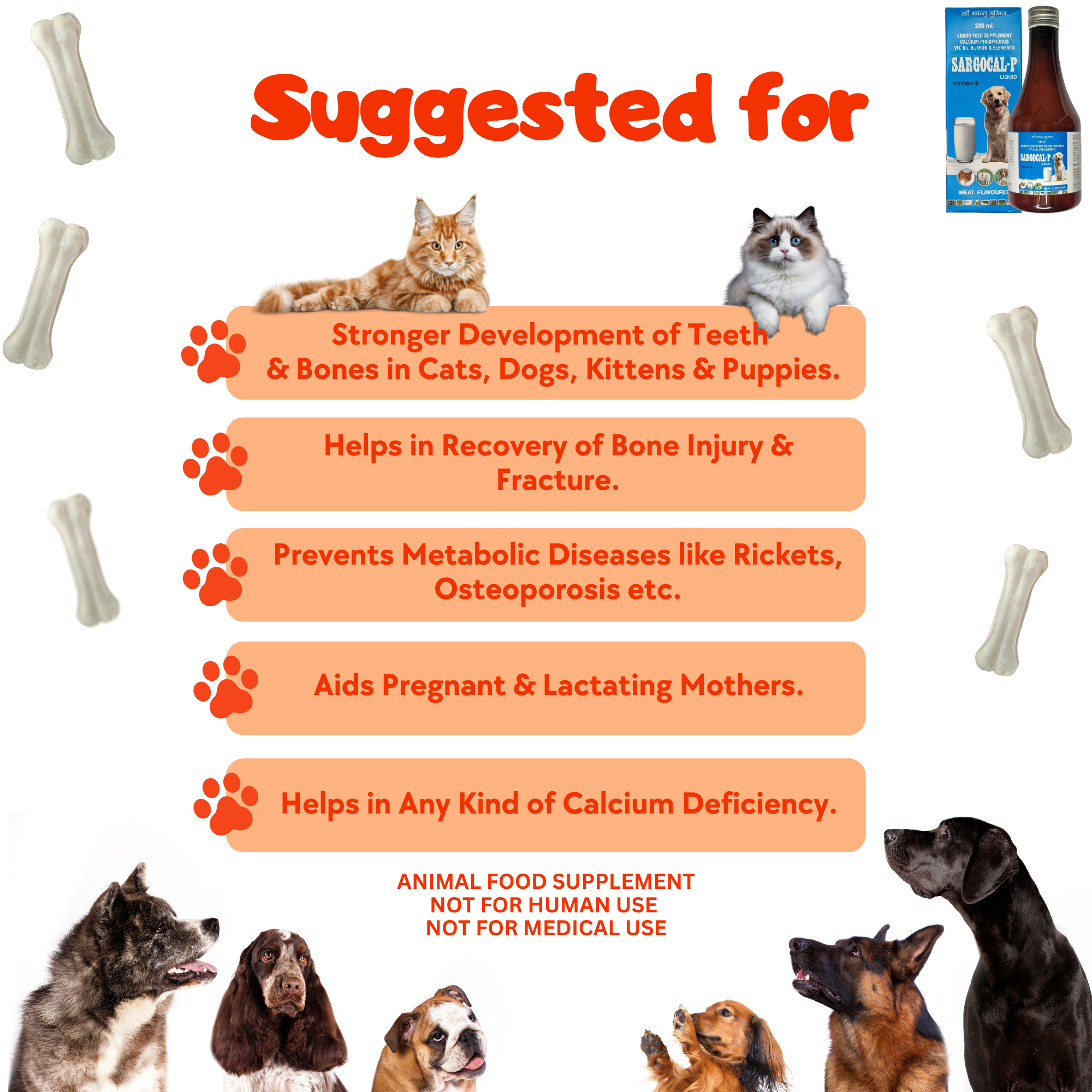 Calcium for Pet Health