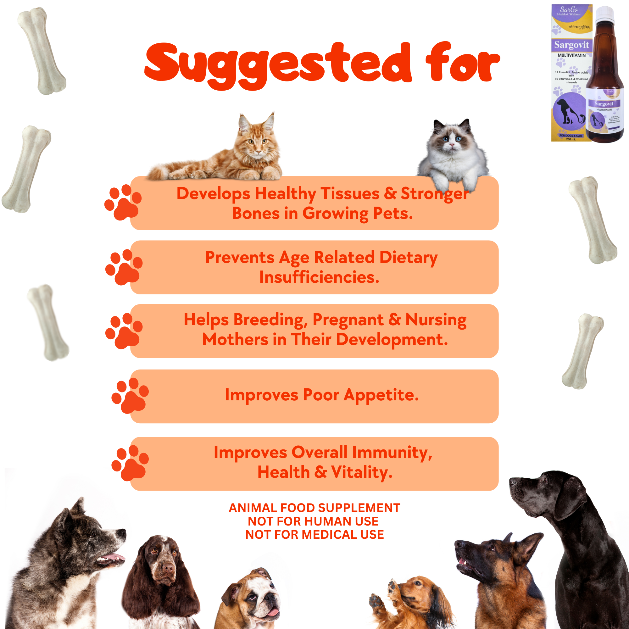 Multivitamin for Pet Health 